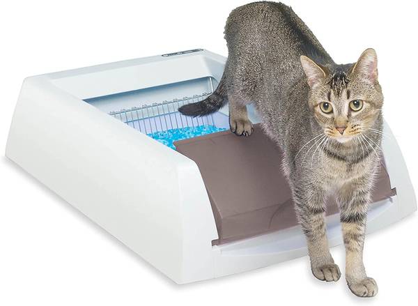 Scoopfree automatic cat litter box 1