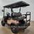 2025 Denago Nomad XL Plus Lithium Ion Golf Cart, Champagne 4 thumbnail