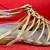 ECCO WOMEN'S "BOUILLON" GLADIATOR SANDALS, GOLDEN YELLOW, SIZE 40 8 thumbnail