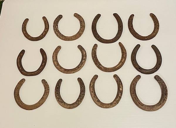 Horseshoes $5 Ea. 1
