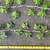 2 Vtg Italian Tole Ivy Strands Wall Decor, 40"Long Each w Mount Holes 8 thumbnail