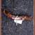 BURL HANDLED CORKSCREW (c. 1925) * 2 thumbnail