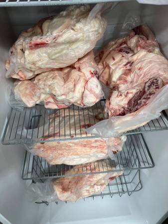 Beef Tallow 1