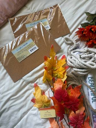 Craft lovers 1