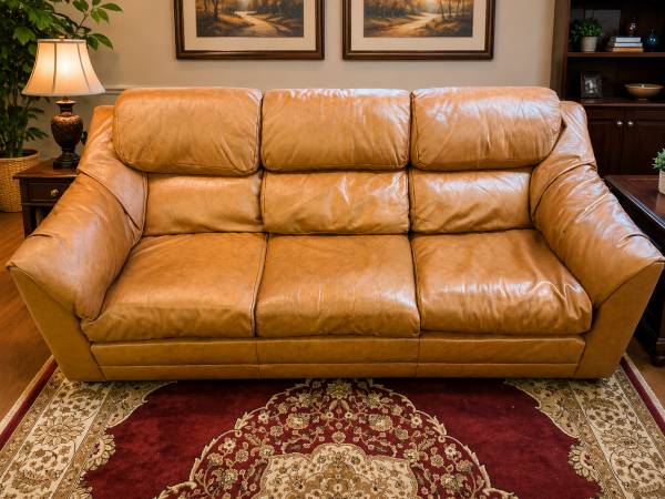 Leather couch 1