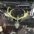 Diablo IV: Landslide Druid Action Figure 3 thumbnail