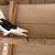 High quality Iranian pigeons 2 thumbnail