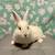 Bunny Rabbits 2 thumbnail