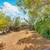 Vista Home – For Rent 19 thumbnail