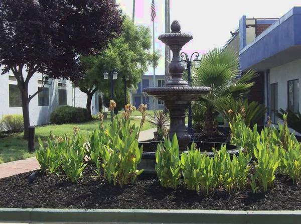 $550 / 1br - LOWER WEEKLY RATE + FREE Amenities - Full Breakfast Included (Sacramento)63790861516291123