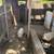 Mini pigs(adults) 1 thumbnail