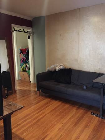 $1,100 / 1br - 800ft2 - Light filled room in 2br 1ba duplex (Richmond)63668011681795121