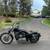 Harley-Davidson Sportster 1200 Custom XL1200C 3 thumbnail