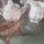 Pretty tea pot with sugar and creamer 4 thumbnail