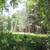 10.82 Acres in the Sierras - Seller Financing 12 thumbnail