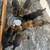AKC German Shepherd Puppies 2 thumbnail