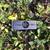 Sonin 45 Electronic Distance Measuring Tool(Pre-Owned) 5 thumbnail