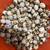 TEXAS A&M JUMBO QUAIL EGGS $2.00 PER DOZEN 2 thumbnail