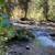 3-Bed/3-Bath Apartment in Gallatin Canyon 4 thumbnail