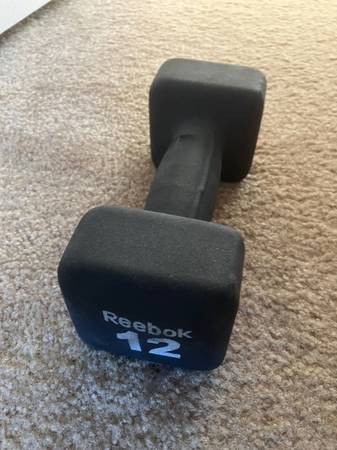 Reebok Dumbbell – 12 lbs (1 piece) 1