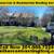 Leaky Roof?Roofer/Home Roofing Services-Commercial TPO Flat Roof 1 thumbnail