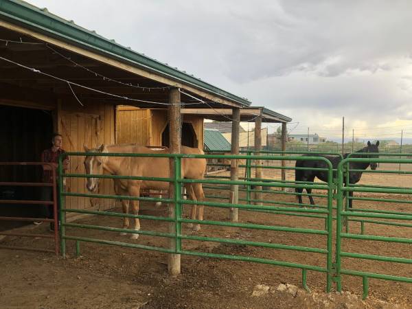 Urgent Barn Helper Needed 1