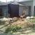 Stump grinder 8 thumbnail