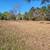 MULCHING, DEBRIS REMOVAL, BUSH HOGGING AND LAND CLEARING 11 thumbnail