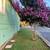 Whimsical Cottage  Furnished 3 bed 3ba by the  Month up to 6 months  10/17/25 15 thumbnail