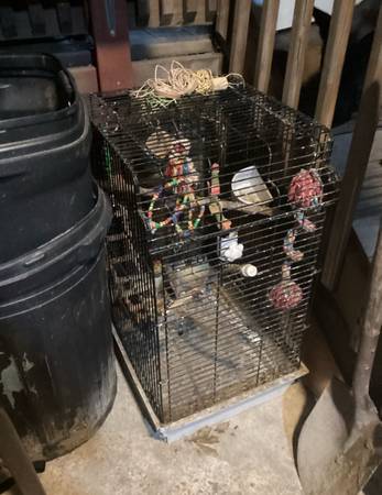 Jaula para pájaros (Norfolk)63882831519489121