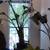 3BR Historic + Modern Fully Renovated + Garden Courtyard 9 thumbnail