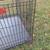 Large Folding Dog Crate 3 thumbnail