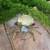 Brass Crab figurine ashtray 2 thumbnail