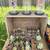 Huge Garage Sale Clothes , Plants , oil art work , Food Cans & more 5 thumbnail
