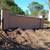 STUMP GRINDING & Surface Roots Removal by Brad Frederick's LLC 8 thumbnail