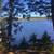 Maine-Pristine 9.5 Ac Cobscoot Bay with 565' Bay frontage 3 thumbnail