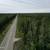 1.05 Acre lot on Brown's Lake Rd 7 thumbnail