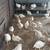 Roosters fowl 3 thumbnail