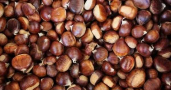 Chestnuts limited 1
