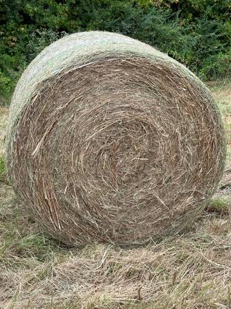 Landscaping / Erosion Hay 1