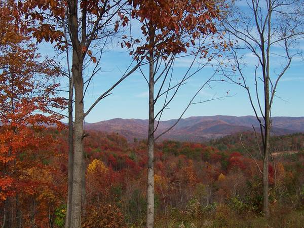 $19,900 BOSTIC - Building Lot - 3.7 Acres - Buy or Lease to Own (Owls Ridge Drive)63925205129474123