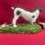 Rat Terrier by Conversation Concepts DFL109 4 thumbnail