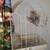 Three pairs of diamond does and four pairs of zebra finches. 2 thumbnail