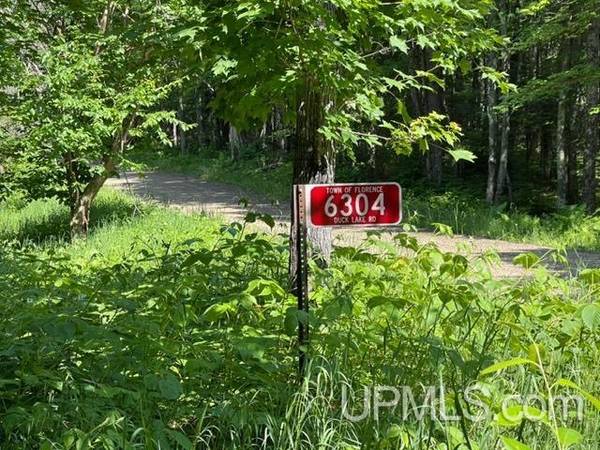 $22,000 .92 Almost an acre MLS 50186730 (Florence T-WI)64151610507139120