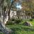 3 On-Site Laundry Facilities, Gas Barbeque Grill Areas, No Pet Deposit 2 thumbnail