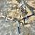 20” Next Jewel BMX bicycle 2 thumbnail