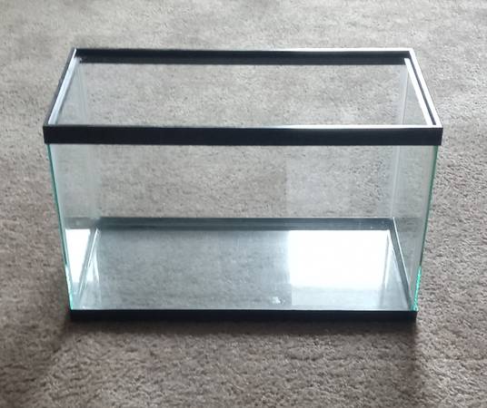 10 Gallon Tank  /   Aquarium 1