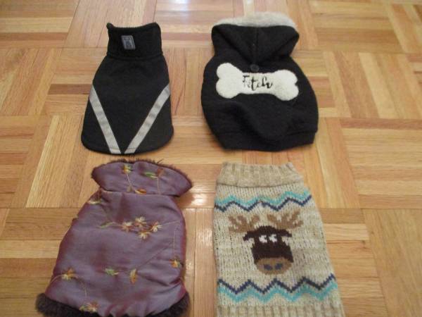 Vests For Small Dog 1