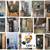 ac_air_ Contractor_repair_Plumber_Plumbing _Handyman_Hvac_Duct work_Ac 5 thumbnail