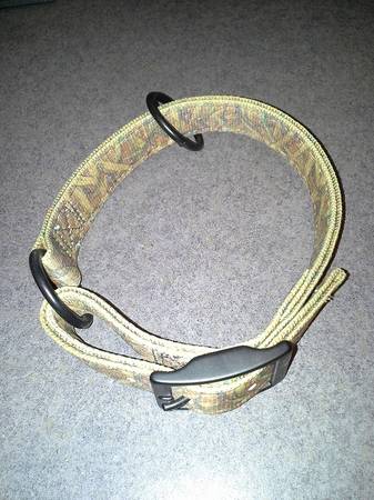 Remington MOBU Dog Collar 1